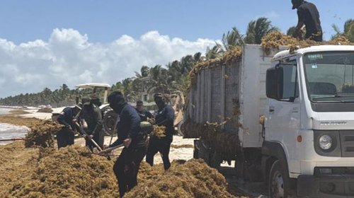 Marina despliega ofensiva contra el sargazo en el Caribe mexicano