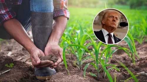 Política migratoria afecta agricultura y hoteles; admite Trump