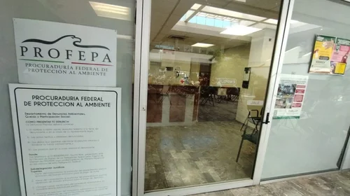 La culpa no solo es de Profepa; también de 4T