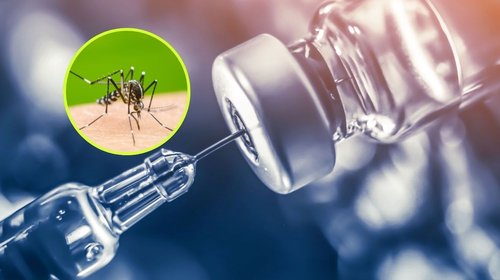 Urgen vacuna contra dengue en México ante riesgo de epidemias