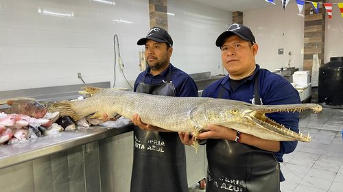 A celebrar con mariscos, pescado ¡y pejelagarto!