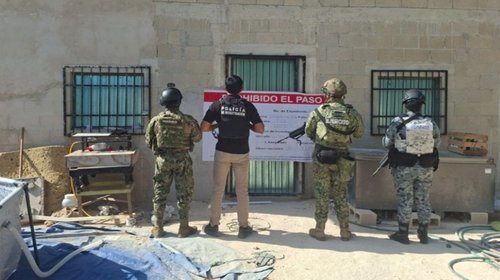 Desmantelan dos viveros clandestinos y caen siete en Quintana Roo