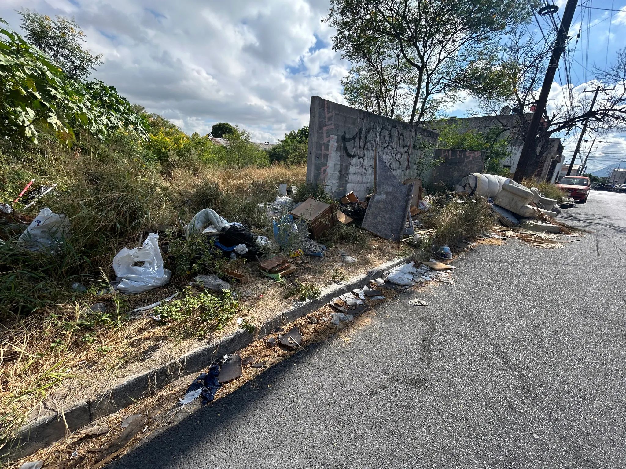 terreno abandonado 2.jpeg