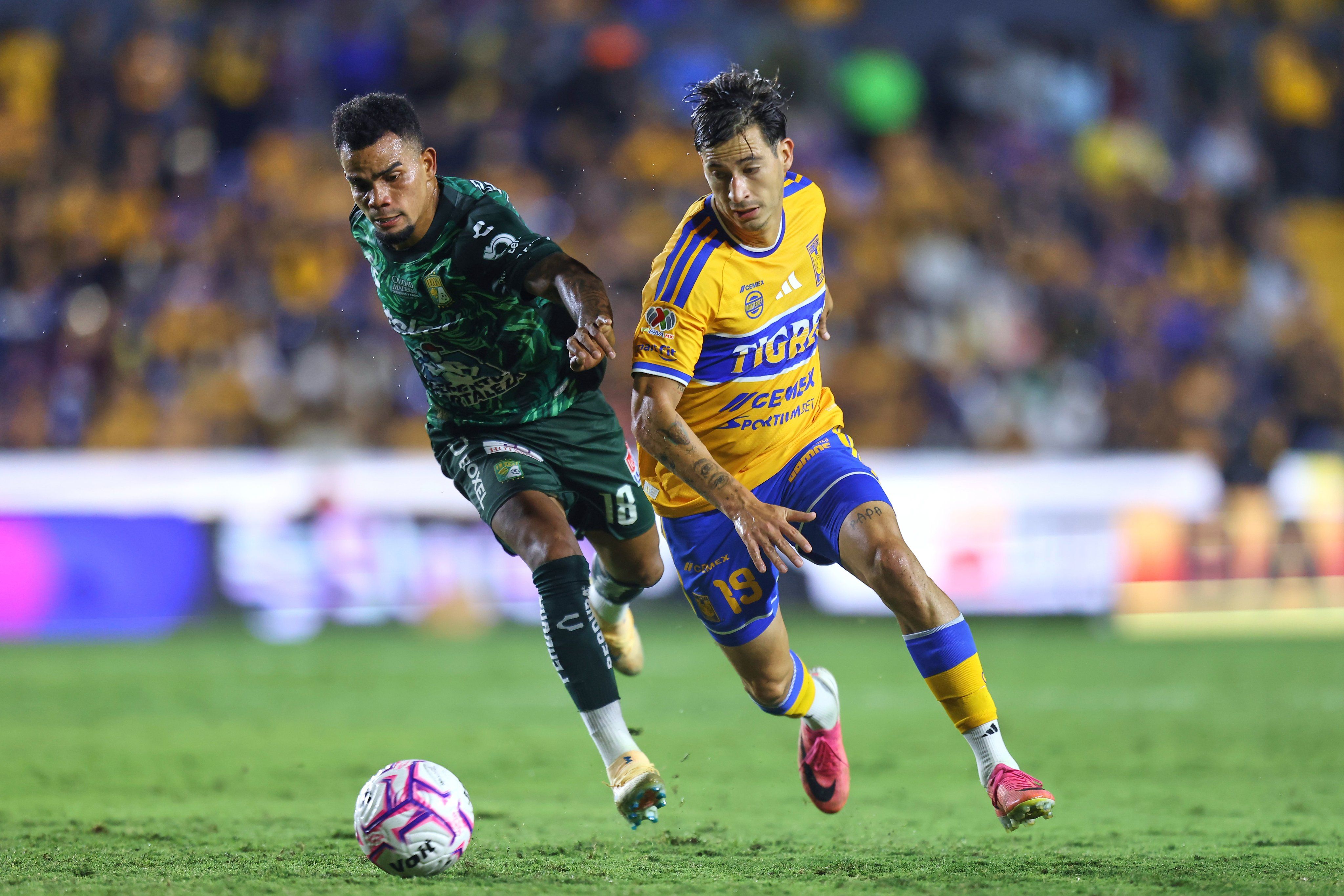 tigres.jpg