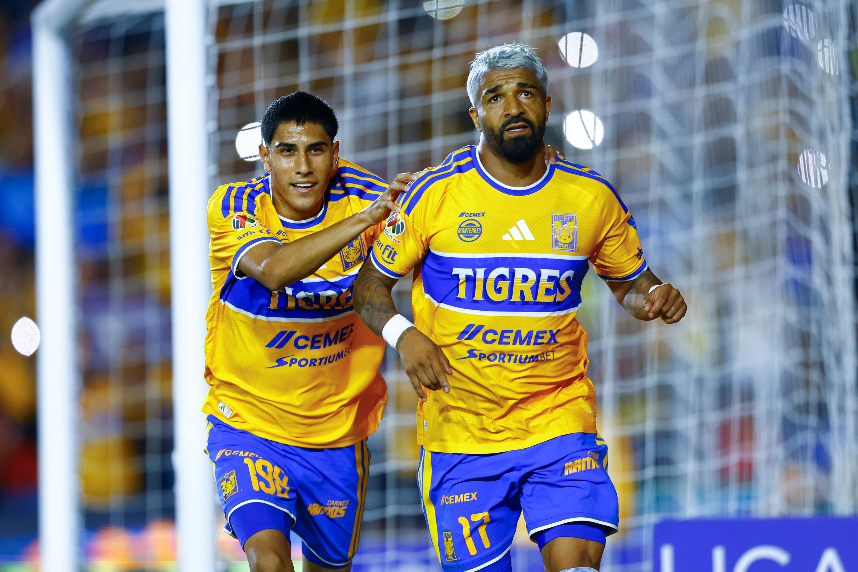 tigres.jpeg