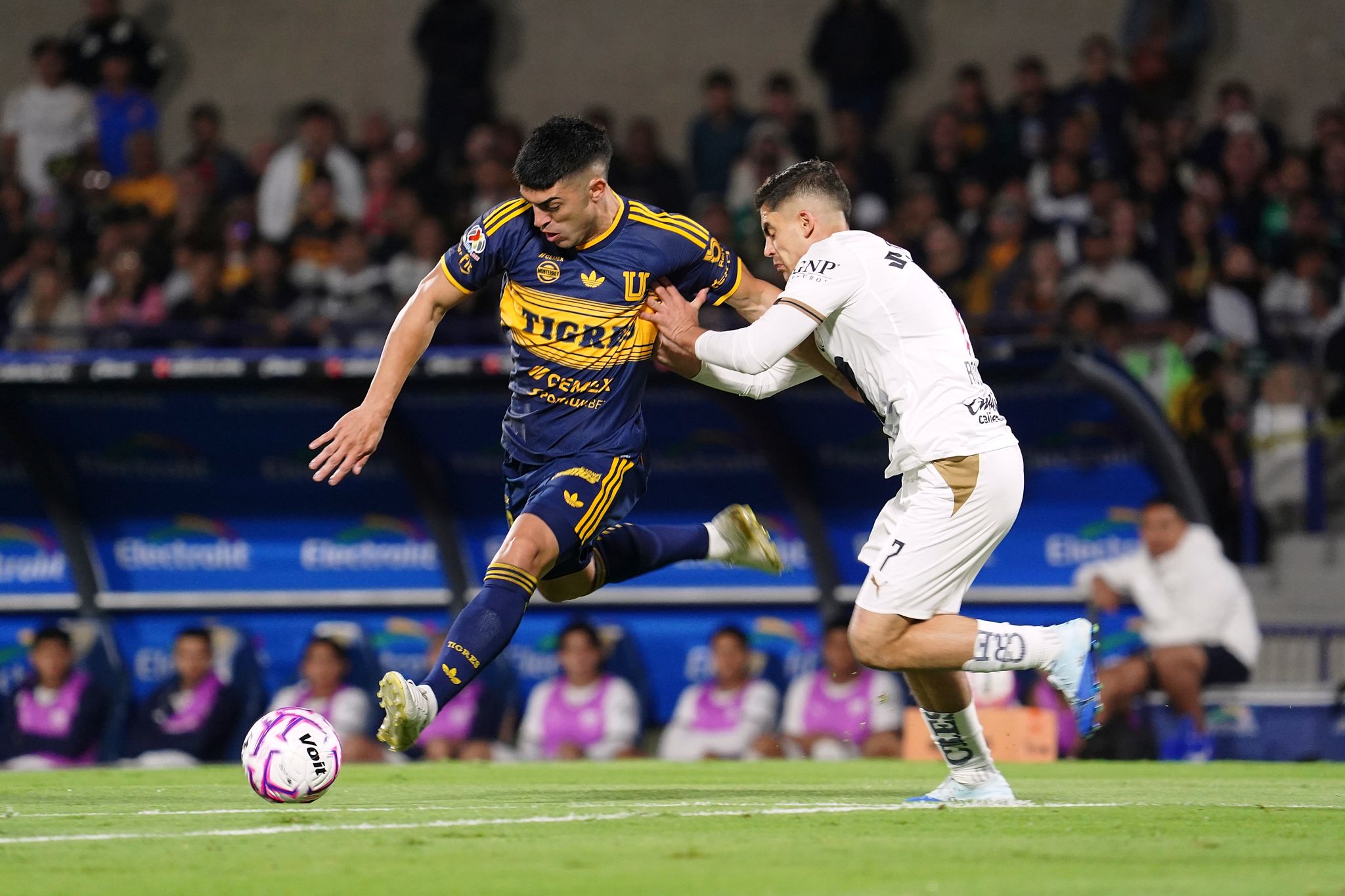 tigres.jpg