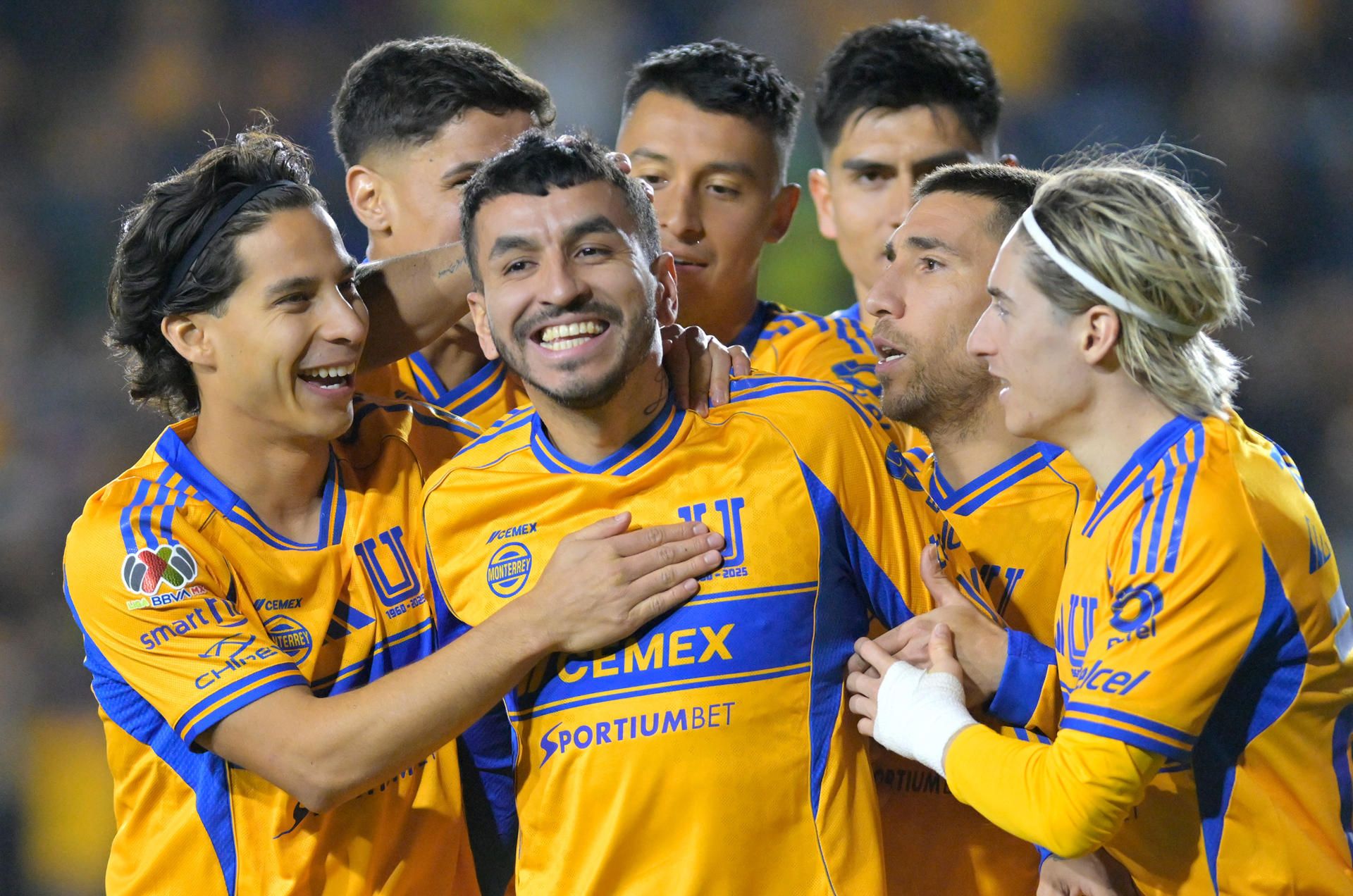 tigres
