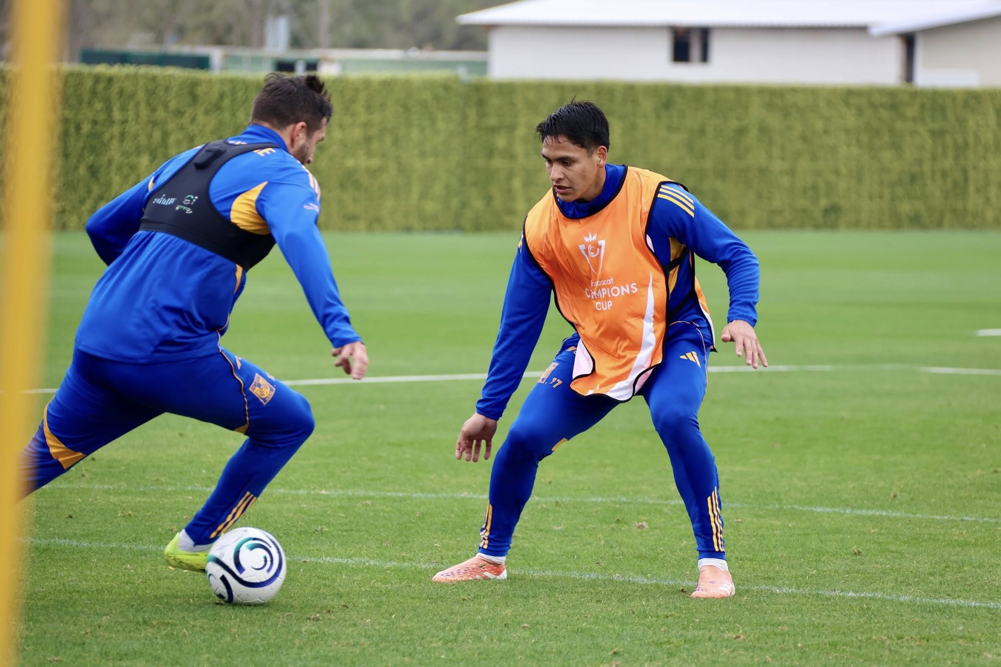 tigres-entrenamiento-lunes1.jpeg