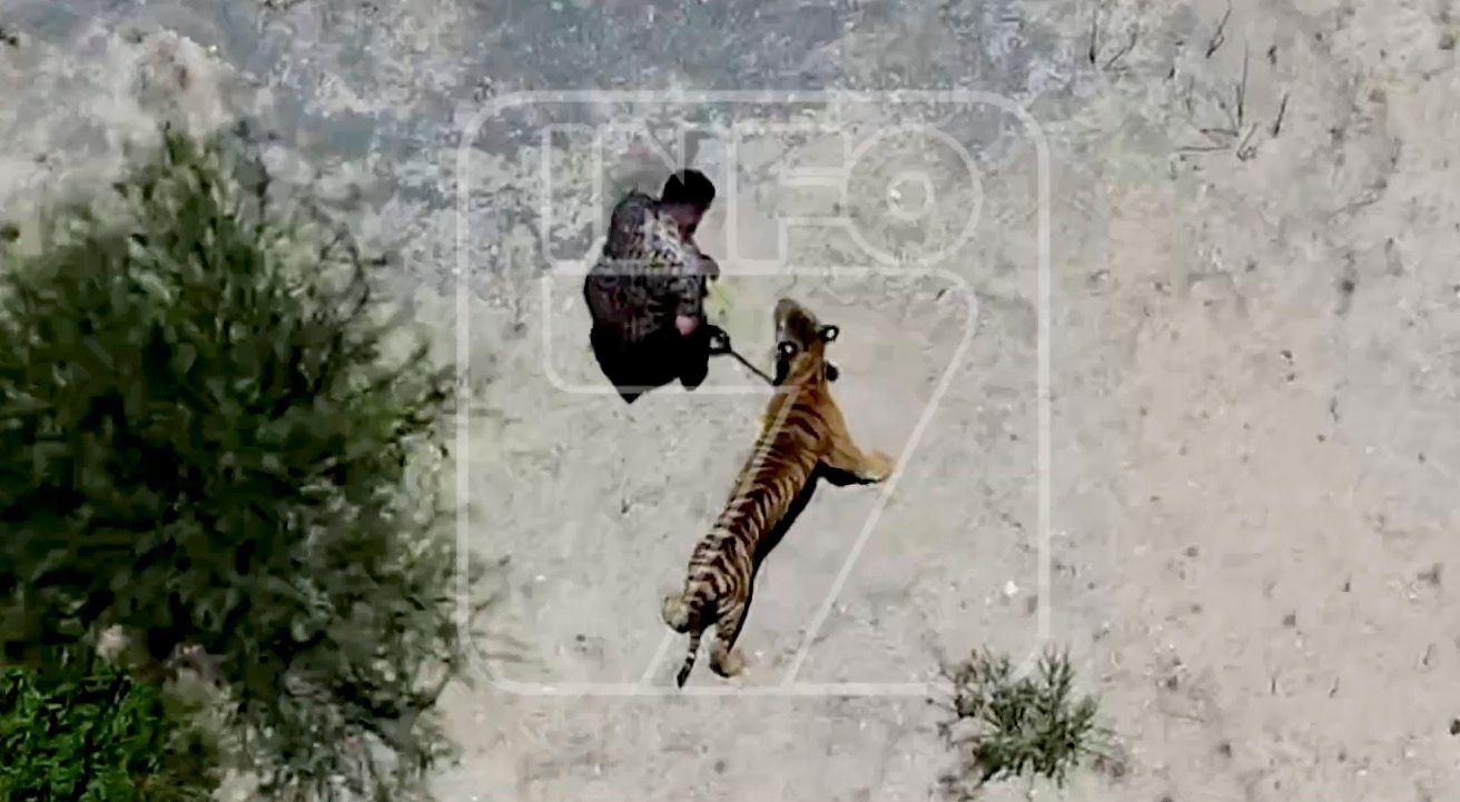 tigres-salinas-victoria.jpg