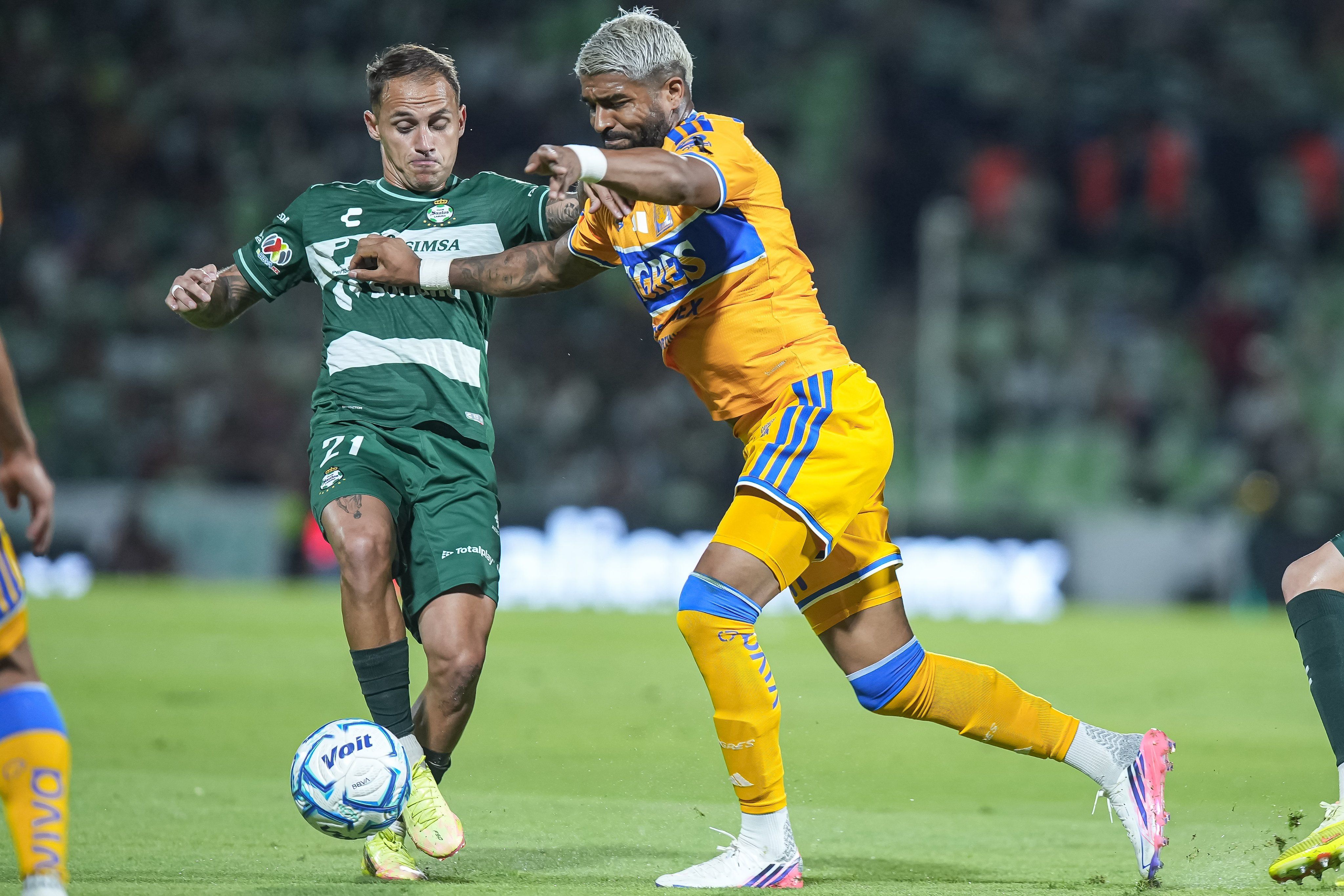 tigres-santos.jpg