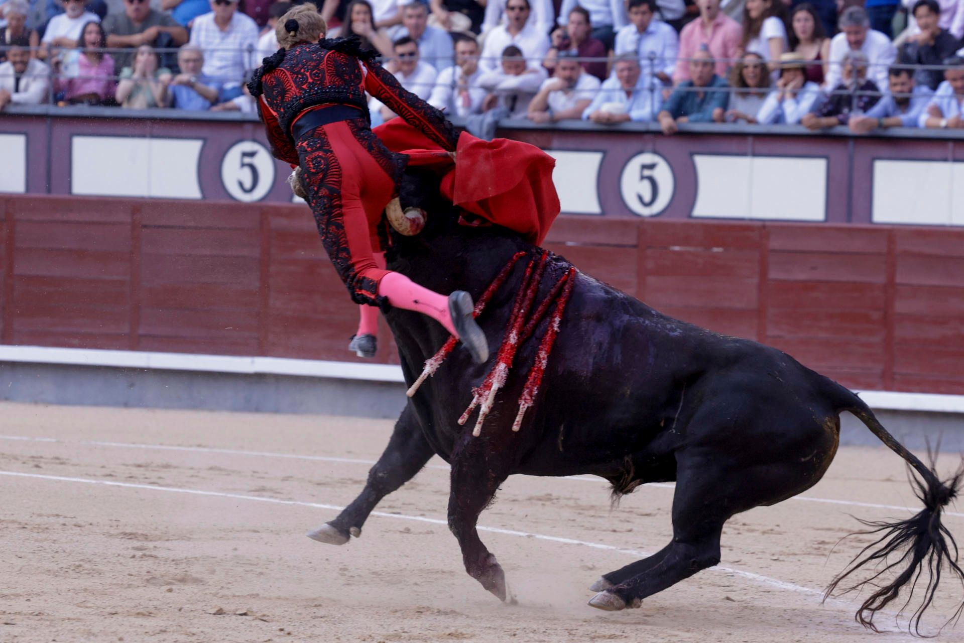 torero-cornado.jpg