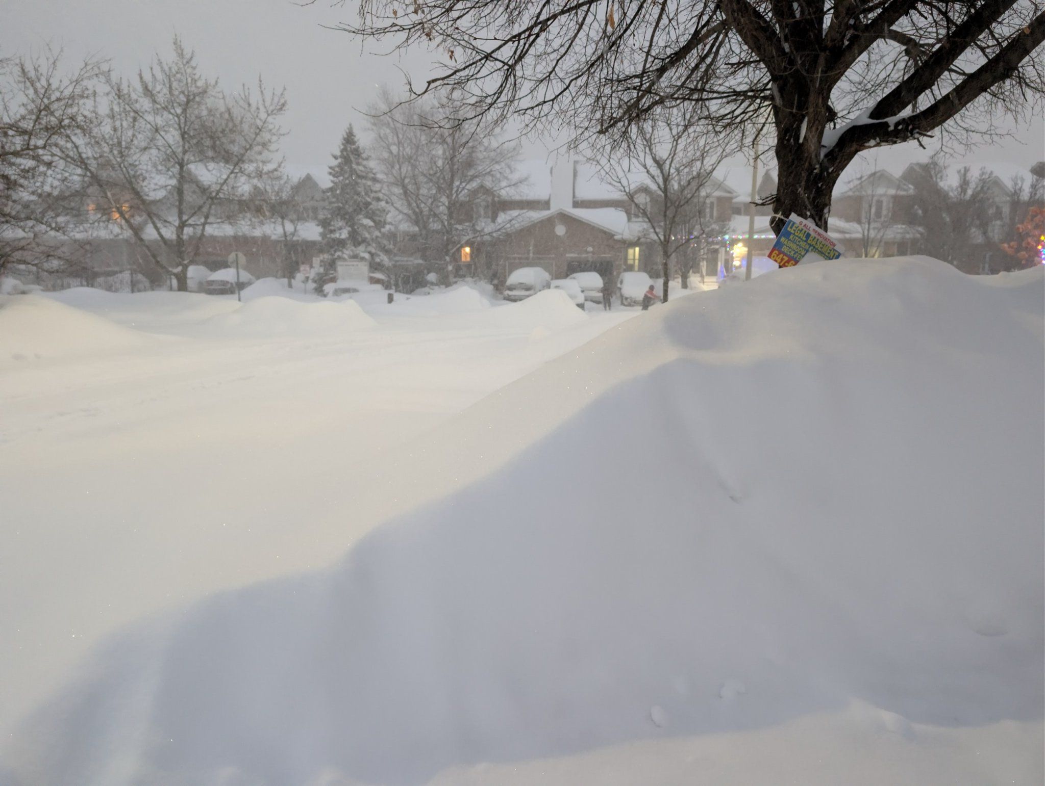 tormenta-invernal-fern-muertos-estados-unidos.jpg