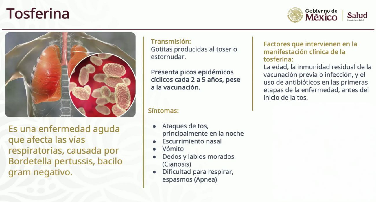 tos-ferina.jpg