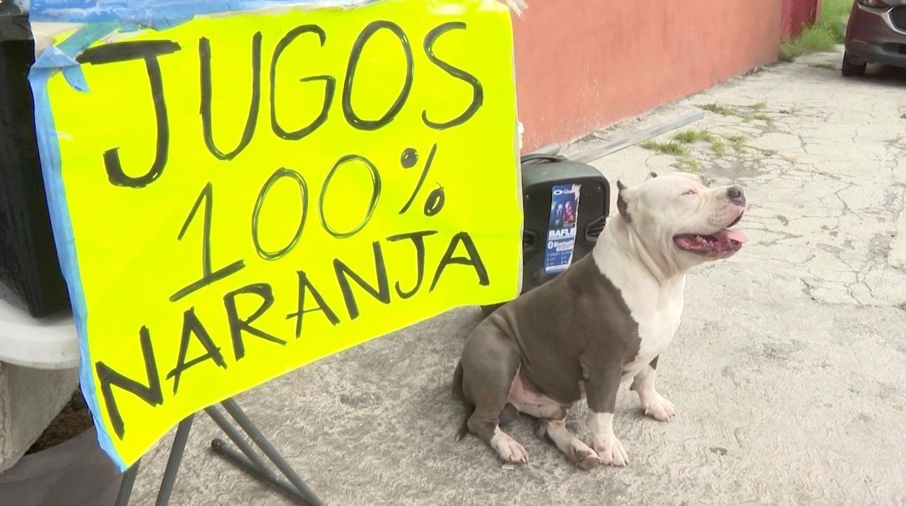 venta-jugos-ruedas2.jpg