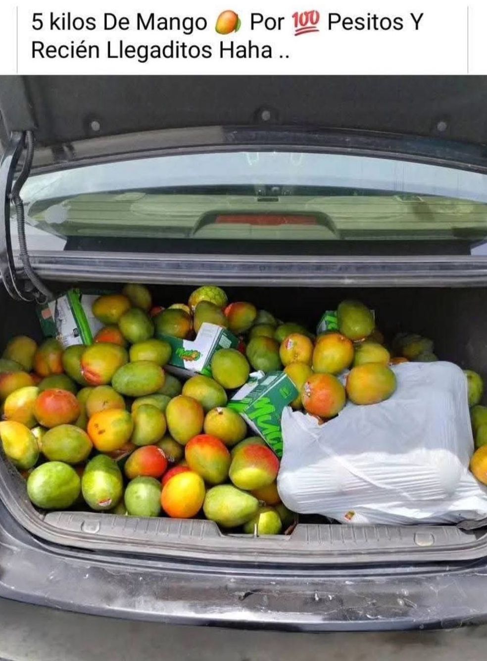 volcadura-camion-mangos1.jpeg
