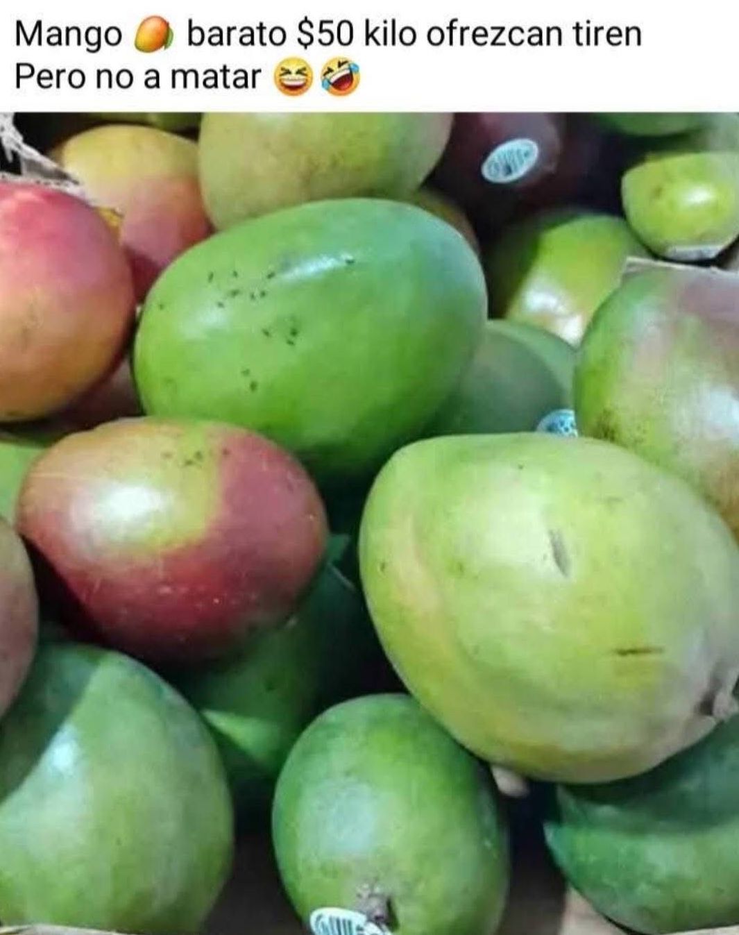 volcadura-camion-mangos2.jpeg