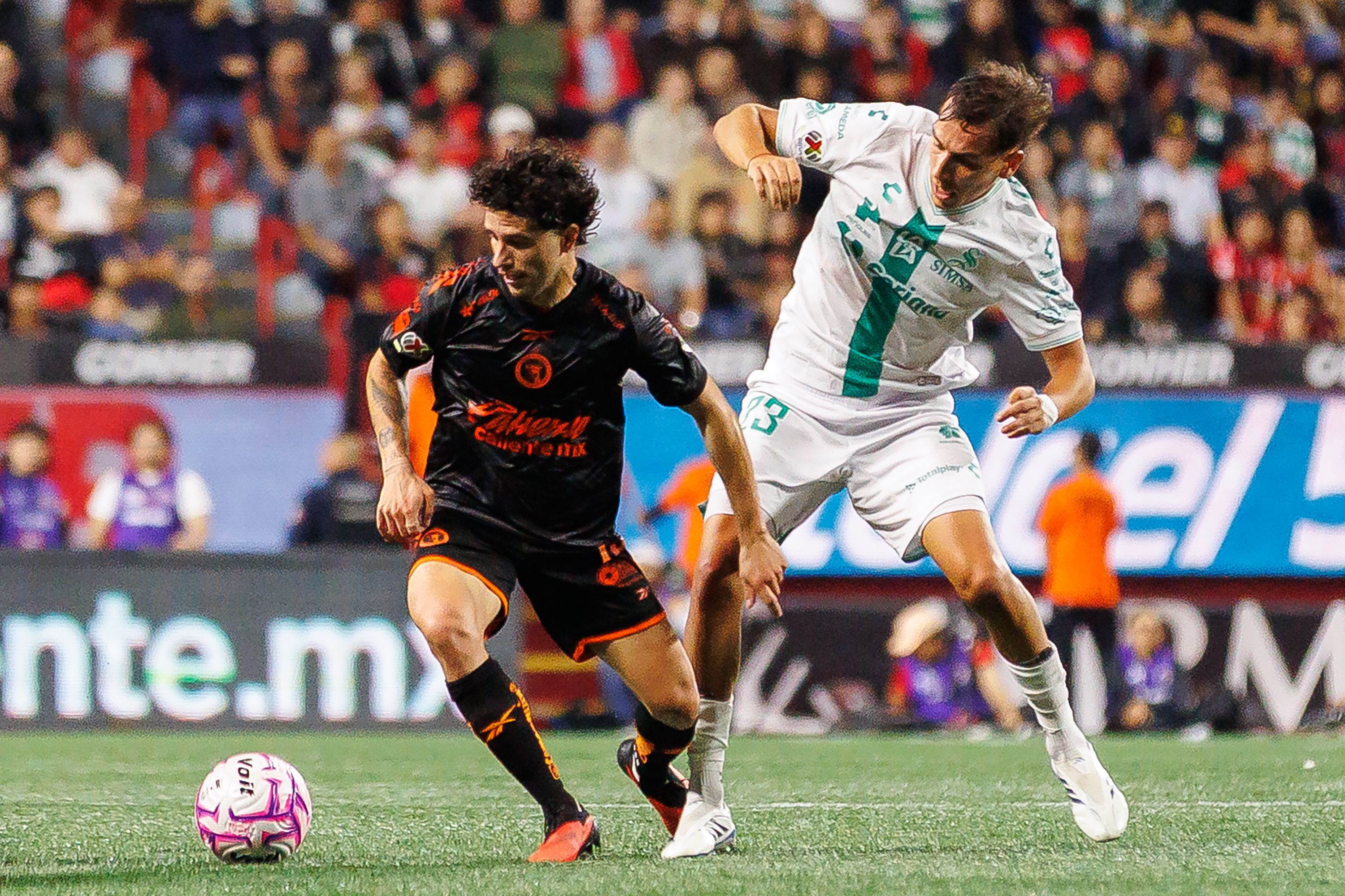 xolos.jpg