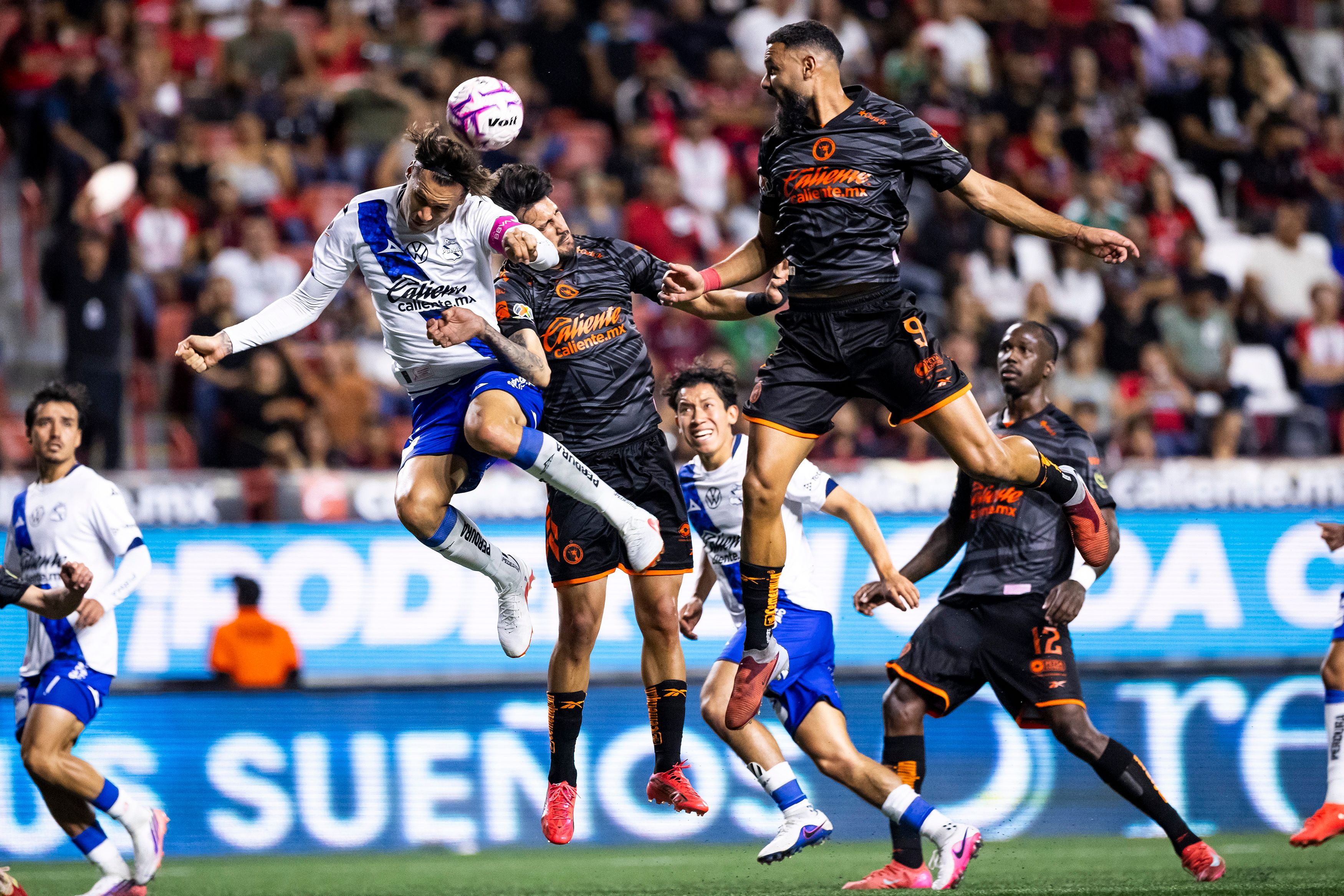 xolos.jpg